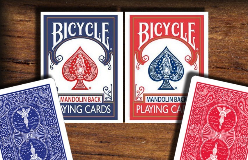 Bicycle Mandolin Back