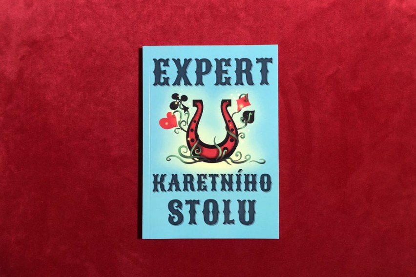 Expert u karetního stolu