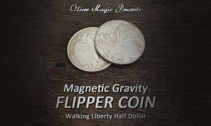 Magnetic Gravity Flipper
